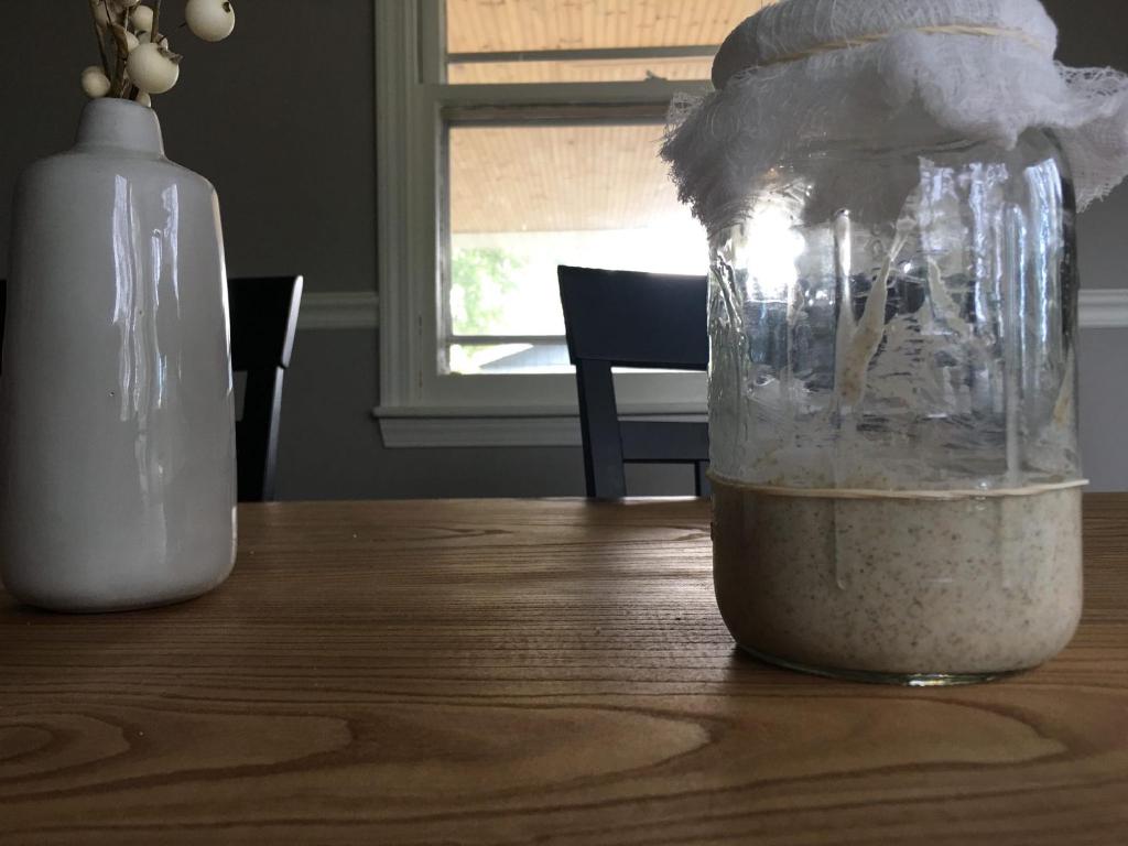 A recently fed sourdough starter sits in a mason jar covered with a cheese cloth. A rubber band is wrapped around the jar to help indicate if there is any activity and growth
