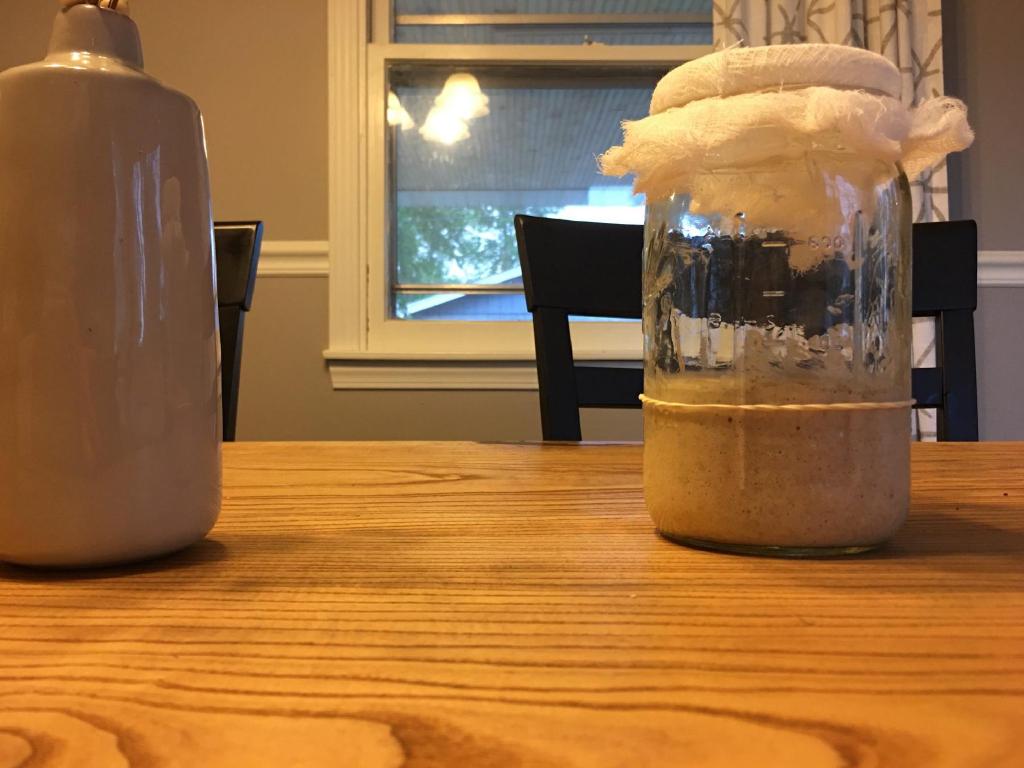 Sourdough starter sits in a mason jar covered with a cheese cloth. The starter rises above the previous day's rubber band by about a quarter of an inch indicating there is some activity and growth