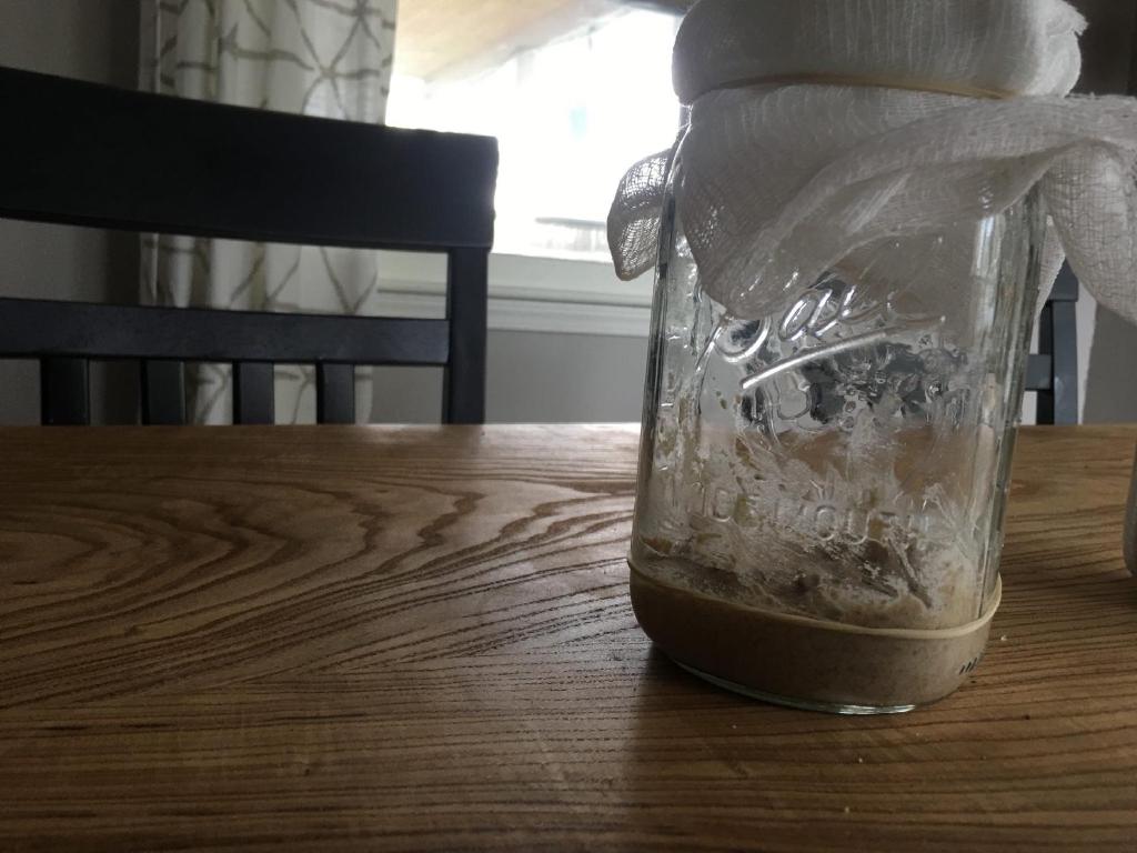 A mason jar with a flour and water mixture at the bottom. A rubber band is used to mark the level it's at to help determine the growth of the sourdough starter. The mouth of the jar is covered with a cheese cloth to keep pests out.