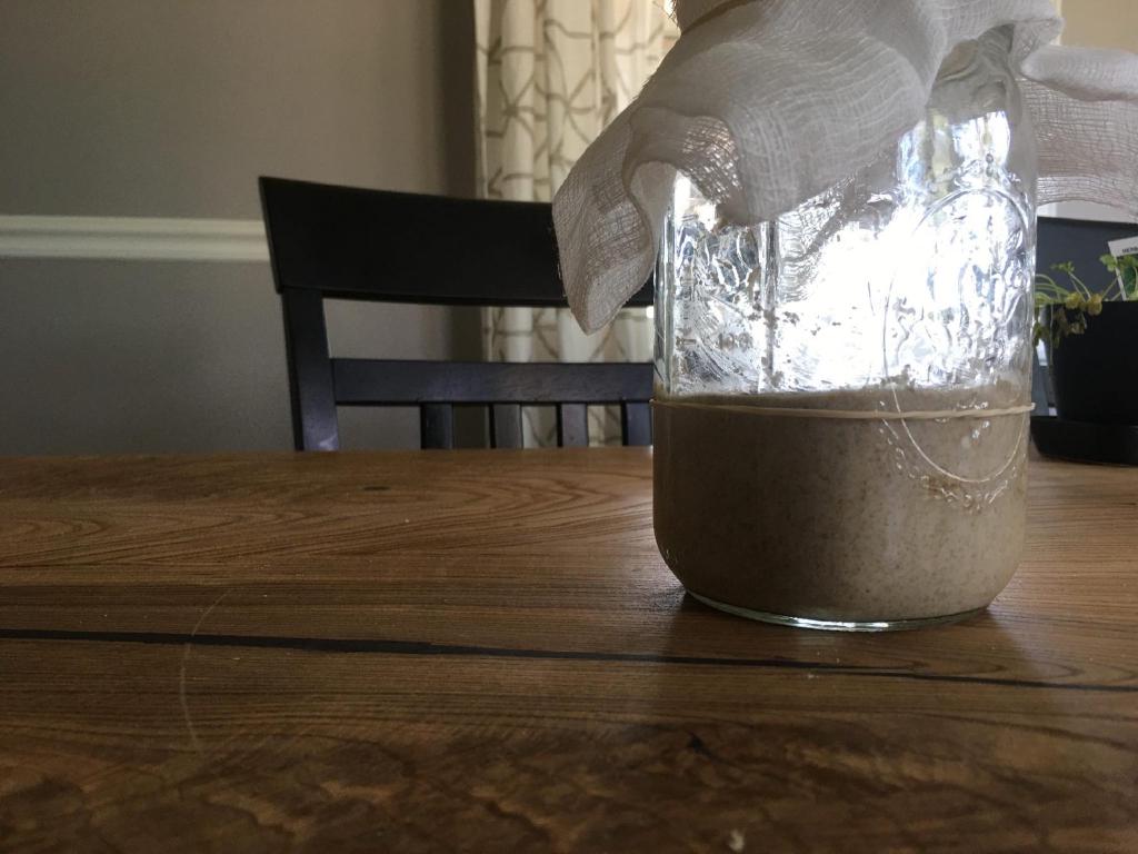 A sourdough starter sits in a mason jar with a cheese cloth over its mouth. The jar sits on a raw edge table in front of a window that is letting in the morning sun. A rubber band marks the level of where the sourdough starter is now.