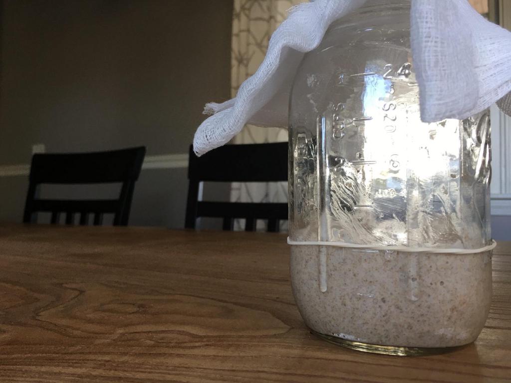 a mason jar of sourdough starter just after the third day's feeding. The jar is covered with a cheese cloth and a rubber band marks the level where the starter is currently