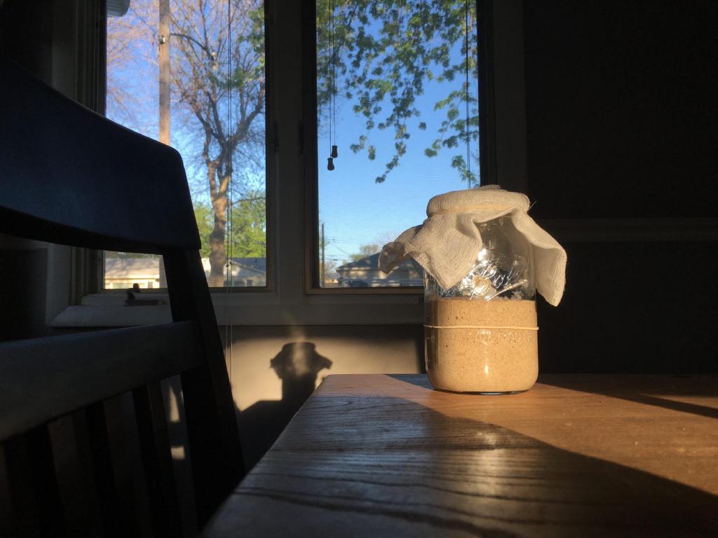 a mason jar with the beginnings of an active sourdough starter sitting in the morning light