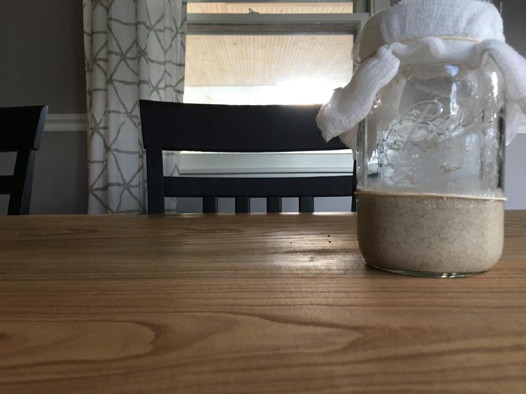 sourdough starter sits in a mason jar after the fourth day of feeding. The jar is covered with a cheese cloth and sits on top of a raw edge table in front of an east facing window letting in the morning light
