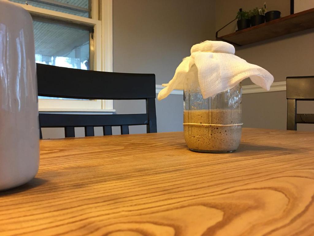 a mason jar with sourdough starter on it's fourth day. The starter is a solid inch above the previous days marker. The jar is covered with a cheese cloth and sits on top of a table in front of a window letting in the morning light