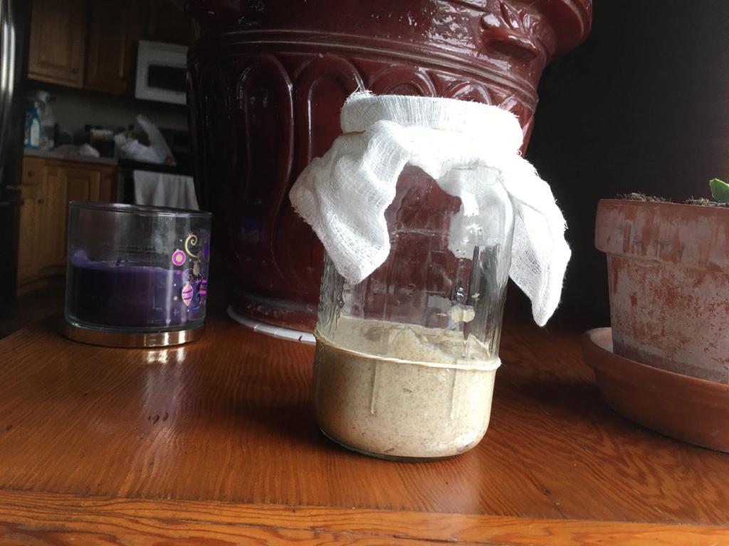 A wide mouth mason jar covered with a cheese cloth sits on top of a glossy dark wooden table. A big red plant container covers the background. Inside the jar is a sourdough starter after the day's feeding. A rubber band is wrapped around the jar at the level of the starter to allow for an easy indication of how well the starter is rising.